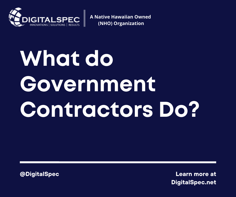 What does an IT Government contractor do?